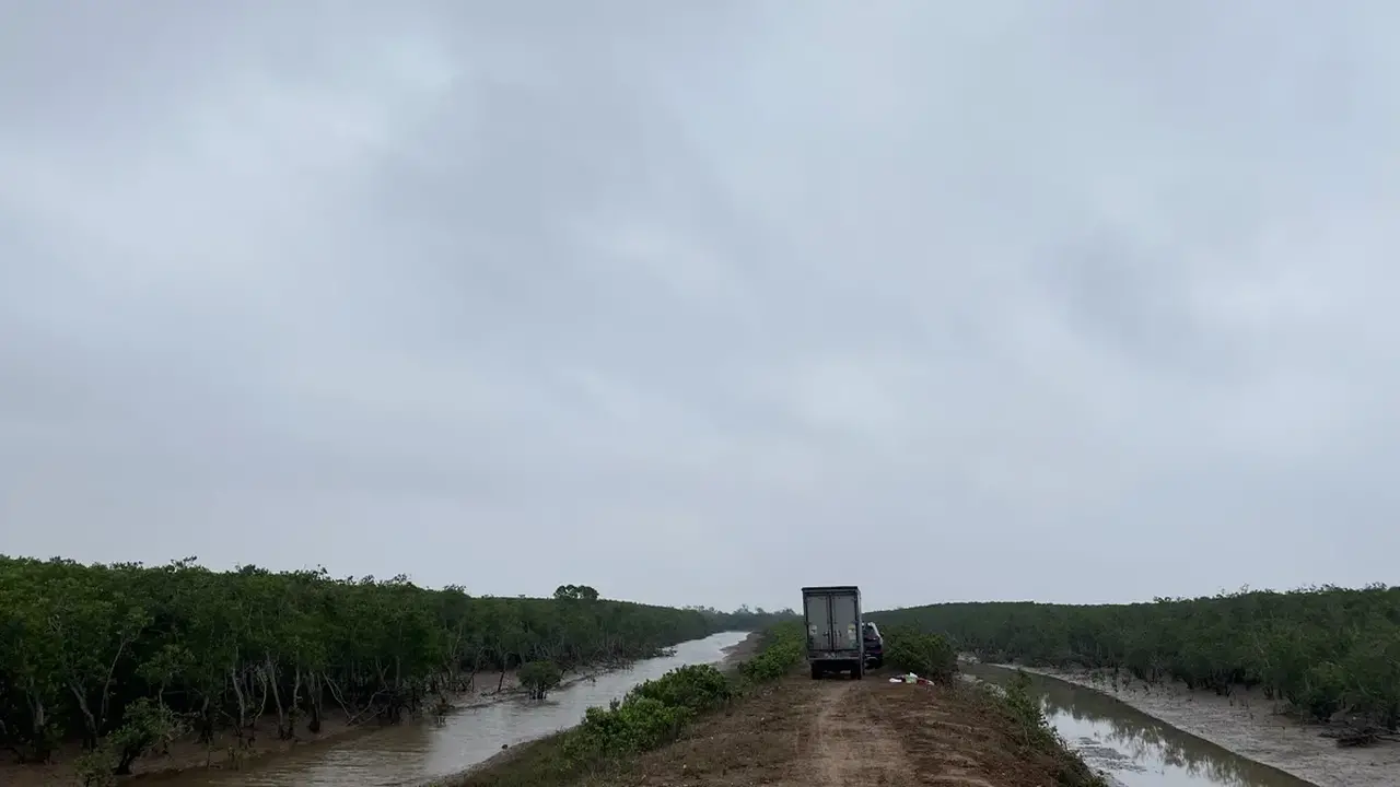 توقعات بانخفاض درجات الحرارة في الشمال بمقدار 10 درجات دون موجات برد شديد مرتوجة